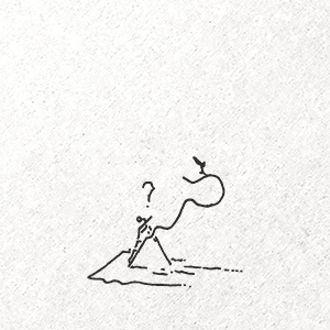 + Brand Identity Design