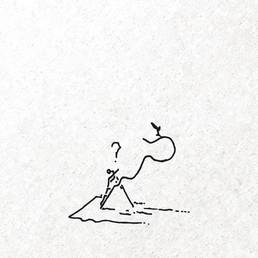 + Brand Identity Design